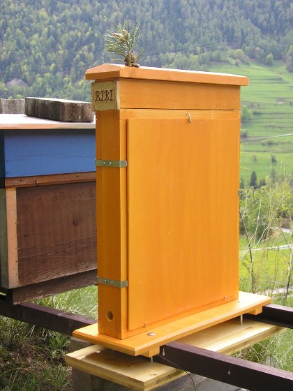 photo de la ruche d'observation fermée