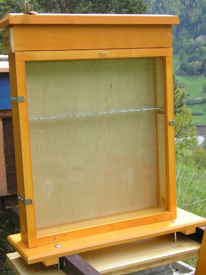 photo de la ruche d'observation ouverte mais vide